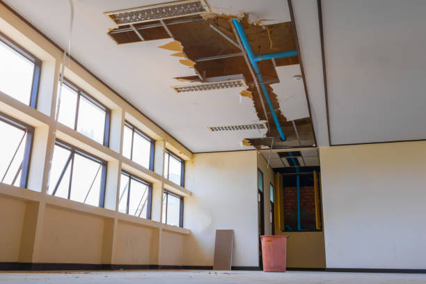 Best Fire Damage Restoration  in Waconia, MN