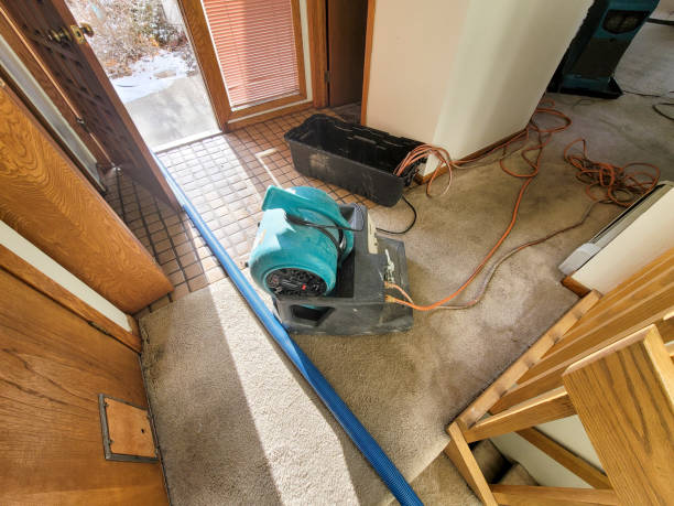 Best Water damage restoration specialists  in Waconia, MN