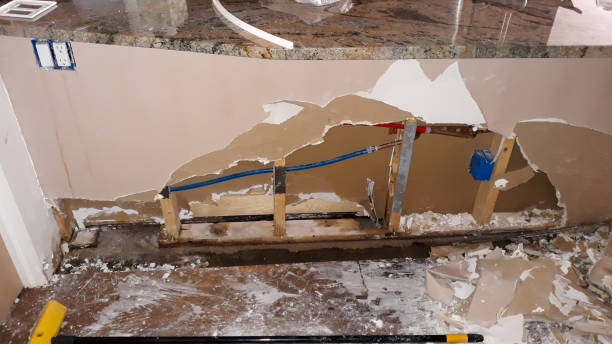 Best Commercial water damage restoration  in Waconia, MN