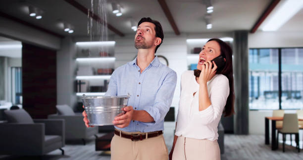 Best Flood restoration services  in Waconia, MN